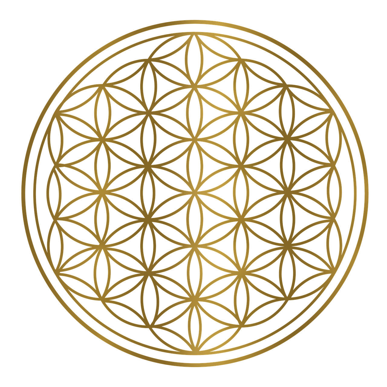 Mandala Yoga Barcelona